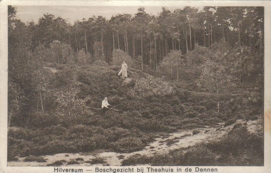 theehuis in de Dennen
